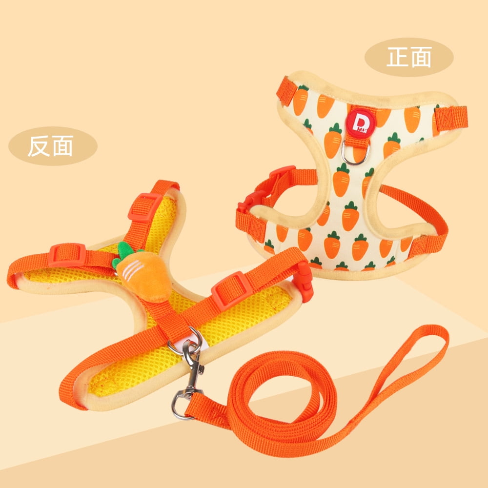 View of The new dog leash with fruit print does not strangle the neck, is ...