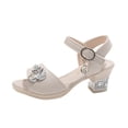 thumbnail image 1 of newwalpole Girls Sandals Open Toe Low Block Heels Sandals Bow Flower Party Dress Pumps Shoes for Little Big Kid Beige for Size 1.5, 1 of 6