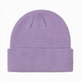 thumbnail image 1 of newwalpole Toddler Beanie Kids Warm Knit Beanie Hat Baby Boys Girls Knit Caps Classic Autumn Winter Hats(Purple,4-6 Years), 1 of 9