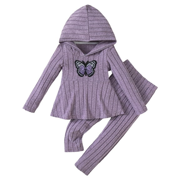 newwalpole Toddler Girl Fall Clothes Set Warm Sweatshirt Pants Long Sleeve Sweatsuits Winter Hooded Pullover Outfits Purple for Size 18-24 Months