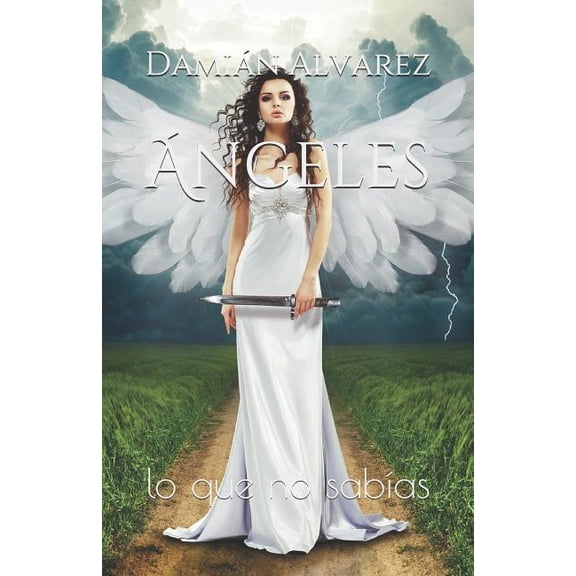 ngeles: lo que no sabas Spanish Edition Paperback 1980858314 9781980858317 Damin Alvarez