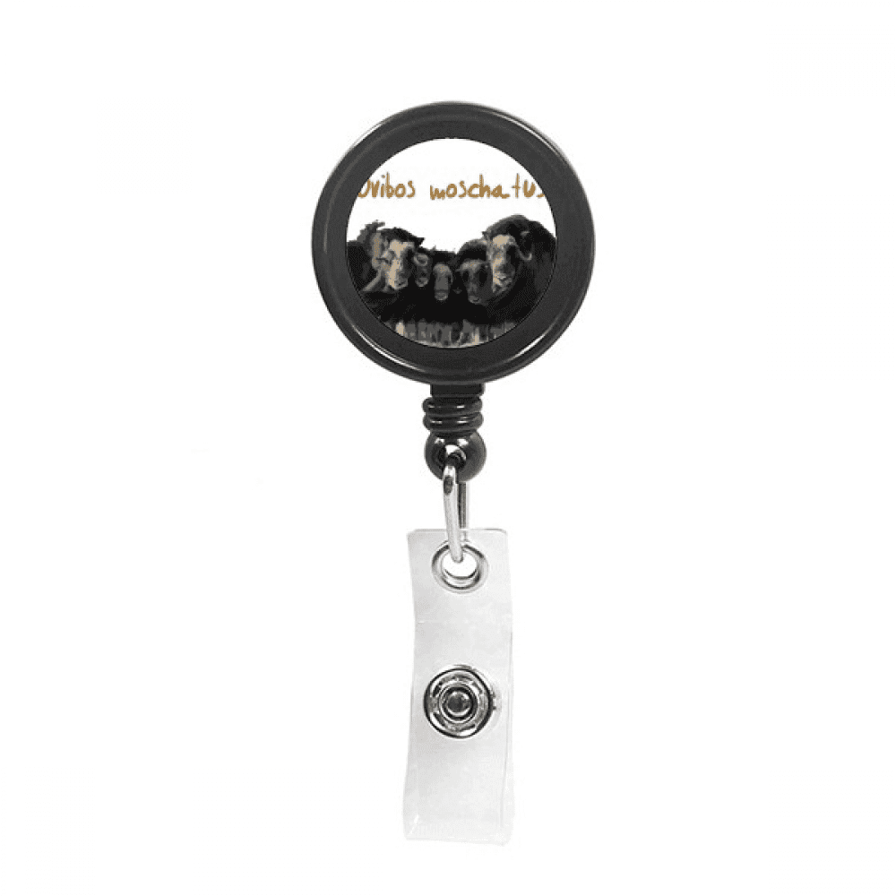 north american   Retractable Keychain Badge Holder ID Badge