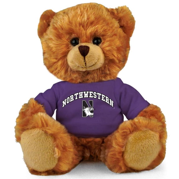 northwestern wildcats stuffed bear