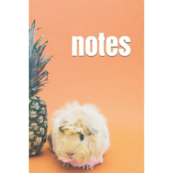 notes, (Paperback)