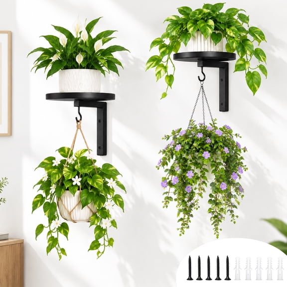 TARNIQOZ 2 Pack Wall Plant Holder, Metal Wall Mounted Planters Hanger for Indoor Plants with Hooks, Floating Decor Display Stand for Window, Living Room
