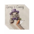 thumbnail image 1 of nqOlkjepod Happy Groundhog Day Cloth Napkins Set of 6 Reusable Dinner Napkins, Spring Carrot Funny Cute Animals Cocktail Napkin Washable Table Napkins for Wedding/Holiday Party/Baby Shower 20"x20", 1 of 8