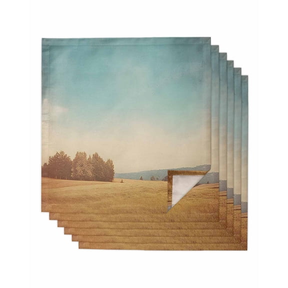 nqOlkjepod Rustic Turquoise Sky Golden Fields Landscape Cloth Napkins Set of 6 Reusable Dinner Napkins, Cocktail Napkin Washable Table Napkins for Wedding/Holiday Party/Baby Shower 20"x20"