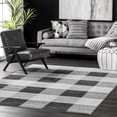 thumbnail image 1 of nuLOOM Aisha Buffalo Plaid Area Rug, 2' x 3', Aisha Grey, 1 of 6