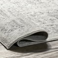 thumbnail image 1 of nuLOOM Arlena Vintage Traditional Area Rug, 2' 6" x 8', Runner, Arlena Grey, 1 of 14