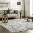 thumbnail image 1 of nuLOOM Bess Persian Vintage Machine Washable Area Rug, 8' x 10', Ivory, 1 of 9