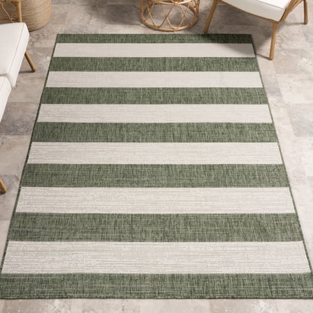 nuLOOM Briaana Striped Indoor/Outdoor Area Rug, 5' 3" x 7' 7", Briaana Green price history on PriceWatchPro