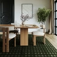 thumbnail image 1 of nuLOOM Daleyza Checkered Machine Washable Area Rug, 8' x 10', Daleyza Green, 1 of 7