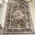 thumbnail image 1 of nuLOOM Davi Faded SplashGuard Machine Washable Area Rug, 8' x 10', Davi Dark Brown, 1 of 11