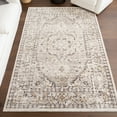 thumbnail image 1 of nuLOOM Devika Vintage Traditional Medallion Area Rug, 4' x 6', Light Grey, 1 of 9
