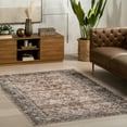 thumbnail image 1 of nuLOOM Freesia Faded Floral SplashGuard Machine Washable Area Rug, 4' x 6', Freesia Brown, 1 of 10