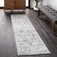 thumbnail image 1 of nuLOOM Gena Distressed Transitional Medallion Area Rug, 2' x 6', Runner, Gena Light Grey, 1 of 15