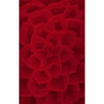 thumbnail image 1 of nuLOOM Gol Hand Tufted Wool Area Rug, 3' 6" x 5' 6", Red, 1 of 2