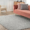 thumbnail image 1 of nuLOOM Gwenyth Solid Shag Area Rug, 4' x 6', Gray, 1 of 9