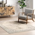 thumbnail image 1 of nuLOOM Halcyon Moroccan Indoor/Outdoor Machine Washable Area Rug, 4' x 6', Halcyon Light Grey, 1 of 10