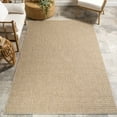thumbnail image 1 of nuLOOM Jazmin Geometric Indoor/Outdoor Area Rug, 4' x 6', Beige, 1 of 8