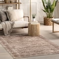 thumbnail image 1 of nuLOOM Jett Floral Border SplashGuard Machine Washable Area Rug, 5' x 8', Jett Beige, 1 of 10