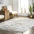thumbnail image 1 of nuLOOM Jodie Rainbow Zebra Braided Tassle Area Rug, 3' x 5', Ivory, 1 of 9
