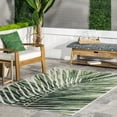 thumbnail image 1 of nuLOOM Kalene Double Palm Indoor/Outdoor Area Rug, 8' x 10', Green, 1 of 9