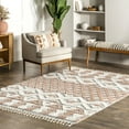 thumbnail image 1 of nuLOOM Katerina Transitional Tasseled Area Rug, 5' x 8', Pink, 1 of 2