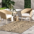 thumbnail image 1 of nuLOOM Katrine Zebra Indoor/Outdoor Area Rug, 8' x 10', Dark Gray, 1 of 9