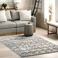 thumbnail image 1 of nuLOOM Kaylani Transitional Medallion Area Rug, 4' x 6', Kaylani Grey, 1 of 8