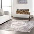 thumbnail image 1 of nuLOOM Khalani SplashGuard Machine Washable Area Rug, 6' x 6', Square, Light Grey, 1 of 11