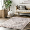 thumbnail image 1 of nuLOOM Kirsty Traditional Distressed Cotton Area Rug, 5' 3" x 8', Rust, 1 of 9