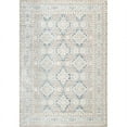thumbnail image 1 of nuLOOM Machine Made Vintage Sherell Area Rug, 1 of 3
