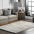 thumbnail image 1 of nuLOOM Morgan Contemporary Shag Fringe Area Rug, 4' x 6', Light Gray, 1 of 9