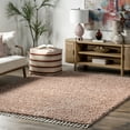 thumbnail image 1 of nuLOOM Neva Modern Tasseled Shag Blush 4' x 6' Modern Area Rug, 1 of 9