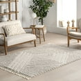 thumbnail image 1 of nuLOOM Risette Geometric Shag Tassel Area Rug, 8' 10" x 12', Beige, 1 of 9