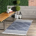 thumbnail image 1 of nuLOOM Roberge Coastal Indoor/Outdoor Area Rug, 2' 6" x 6', Runner, Roberge Navy, 1 of 9