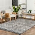 thumbnail image 1 of nuLOOM Victoria Distressed Medallion Area Rug, 4' x 6', Gray, 1 of 9