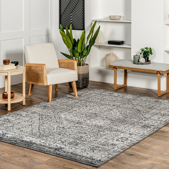 nuLOOM Victoria Distressed Medallion Area Rug, 4' x 6', Gray