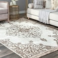 thumbnail image 1 of nuLOOM Yevette Fringe Indoor/Outdoor Area Rug, 4' x 6', Beige, 1 of 2