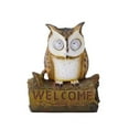 thumbnail image 1 of nvzhuang Solar Owl Garden Statue Resin Owl Figurine with Solar LED Lights Outdoor Hanging Decor for Garden Yard, 1 of 5