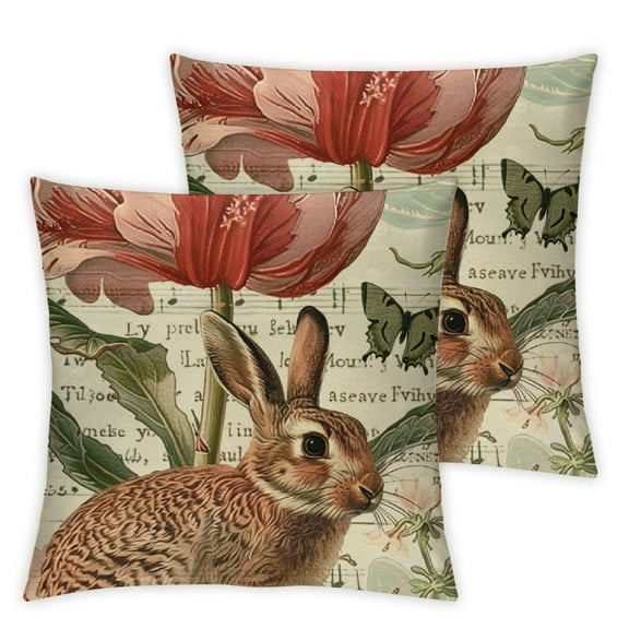 nygtbtfer Hopyeer 2Pack Rustic Vintage Animals Throw Pillow Decorative Cute Robin Birds (VA-Animals) White