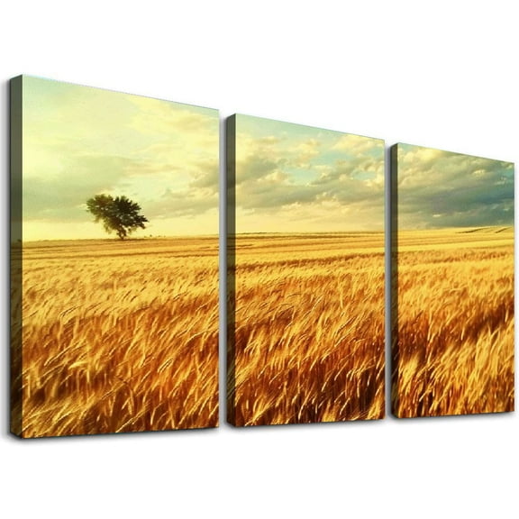 nygtbtfer  - Landscapes Corn Field  Canvas Art Print Box Framed Picture Wall Hanging - Hand - Framed and Ready to Hang 12x16x3pcs