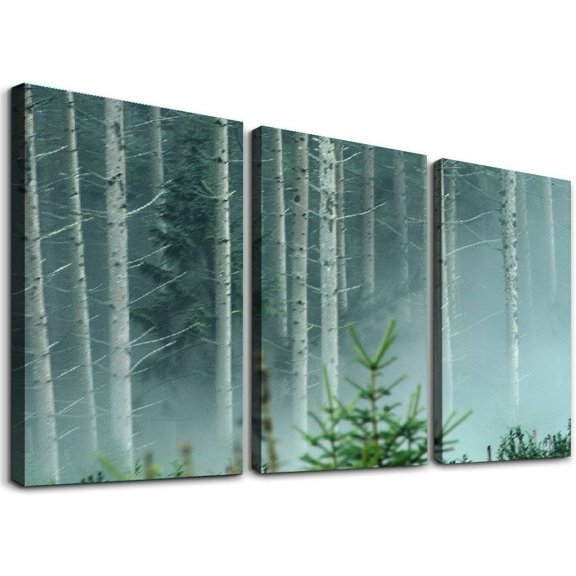nygtbtfer  - Landscapes Forest Fog  Canvas Art Print Box Framed Picture Wall Hanging - Hand - Framed and Ready to Hang 12x16x3pcs