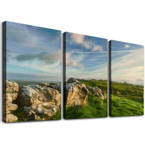 nygtbtfer Mooreland Landscape Canvas Wall Art Hanging Paintings Modern Artwork Abstract Picture Prints Home Decoration Gift Unique Designed Framed 12x16x3pcs