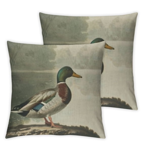 nygtbtfer Pillow Covers Couch Sofa Decorative Throw Pillows Cushion Cover Vintage Print Mallard Duck Square Pillow Cases for Bed Living Room White