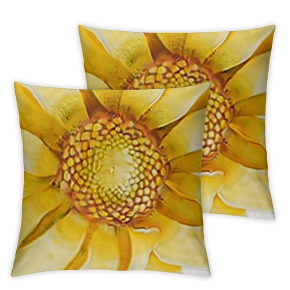 nygtbtfer Pillow Covers Set of 2 Throw Pillow Covers Outdoor Farmhouse Cushion Case for Couch Chair Sofa Home Décor White