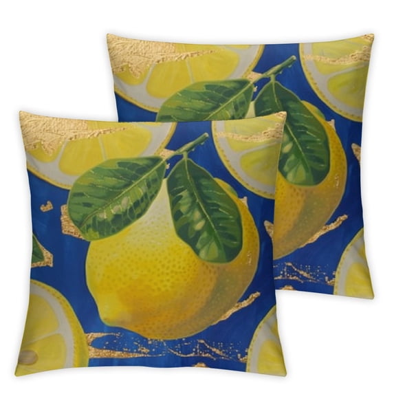 nygtbtfer Pillow Set of 2 Summer Decor s with Blue Background Holiday Decorative Throw Pillow Cases Outdoor for Home White