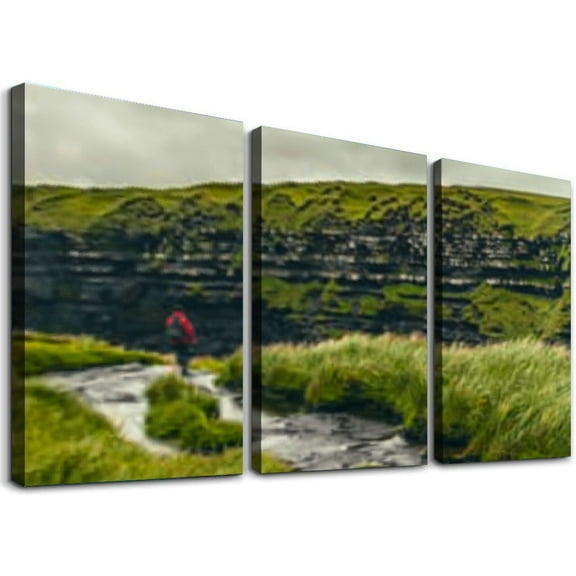 nygtbtfer Wall Art Print On Canvas landscape of the cliffs of moher and the branaunmore Modern Abstract Picture Poster for Home Decor Stretched and Framed Ready to Hang 12x16x3pcs