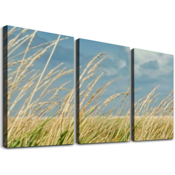 nygtbtfer landscape Hanging Paintings Modern Artwork Abstract Picture Prints Home Decoration Gift Unique Designed 12x16x3pcs